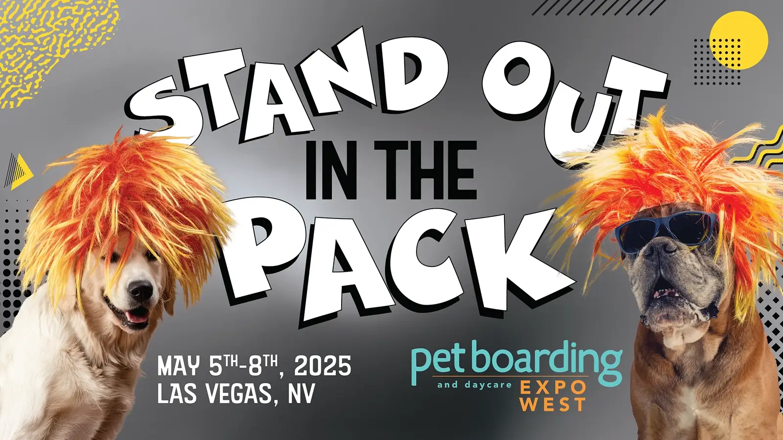Pet Boarding Expo: Top-Tipps & Trends